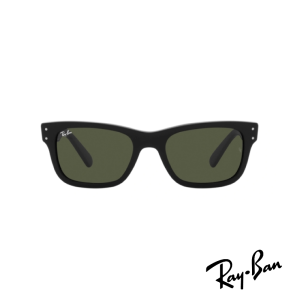 Ray-Ban RB_2283S