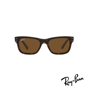 Ray-Ban RB_2283S